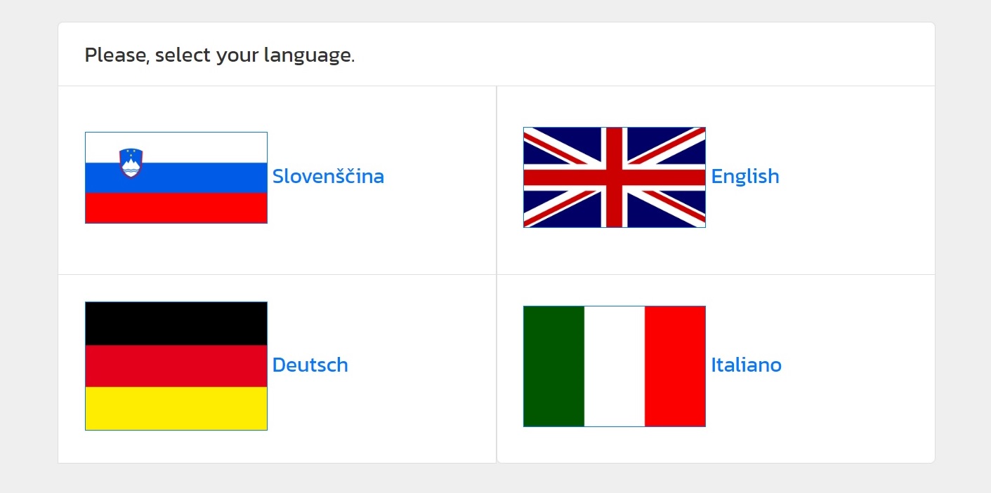 terminal flags